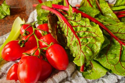 The Mediterranean Diet: A Key to Healthy Aging