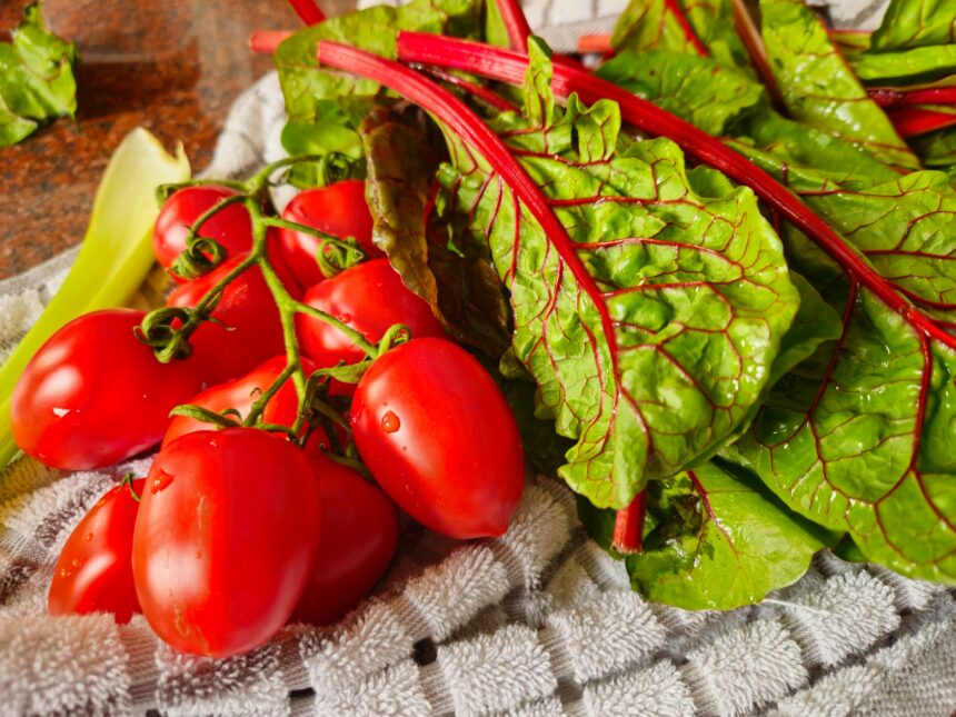 The Mediterranean Diet: A Key to Healthy Aging