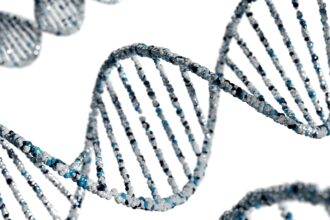 Unlocking the Secret: Biological Age vs Chronological Age