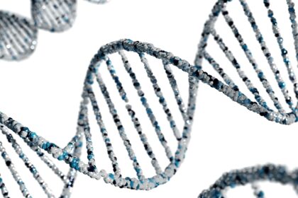 Unlocking the Secret: Biological Age vs Chronological Age
