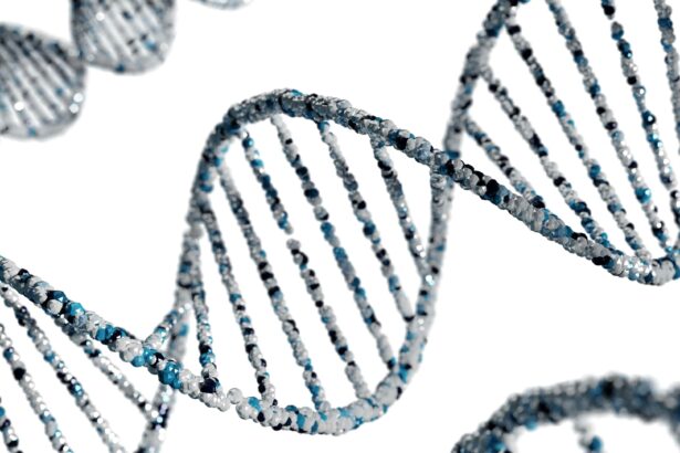 Unlocking the Secret: Biological Age vs Chronological Age