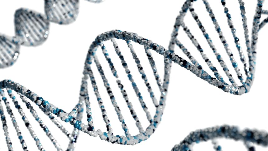 Unlocking the Secret: Biological Age vs Chronological Age