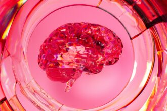 The Aging Brain: Harnessing Neuroplasticity