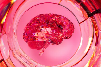 The Aging Brain: Harnessing Neuroplasticity