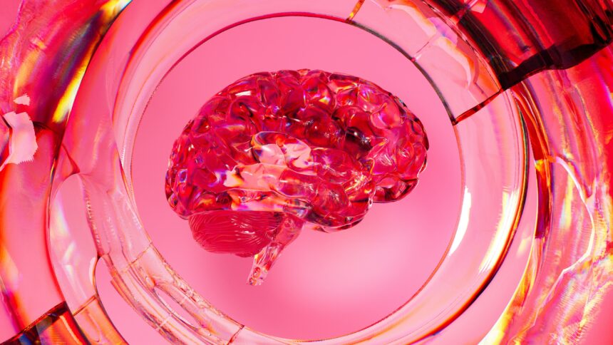 The Aging Brain: Harnessing Neuroplasticity