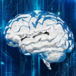 Understanding Cognitive Decline: Risk Factors