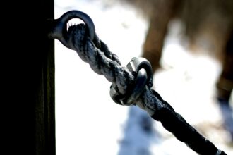 The Impact of Growth Hormone on Longevity