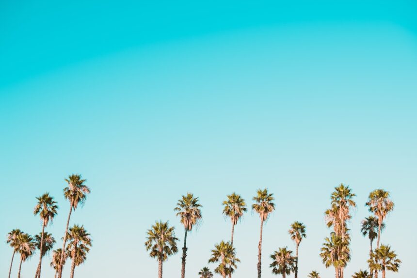 Niacinamide: The Key to Youthful Skin