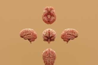 Boosting Brain Power: The Link Between Exercise and Neurogenesis
