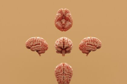 Boosting Brain Power: The Link Between Exercise and Neurogenesis