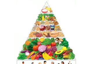 Optimizing Diet for Cognitive Health