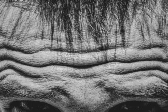 Navigating Depression in Aging: Tips for Seniors
