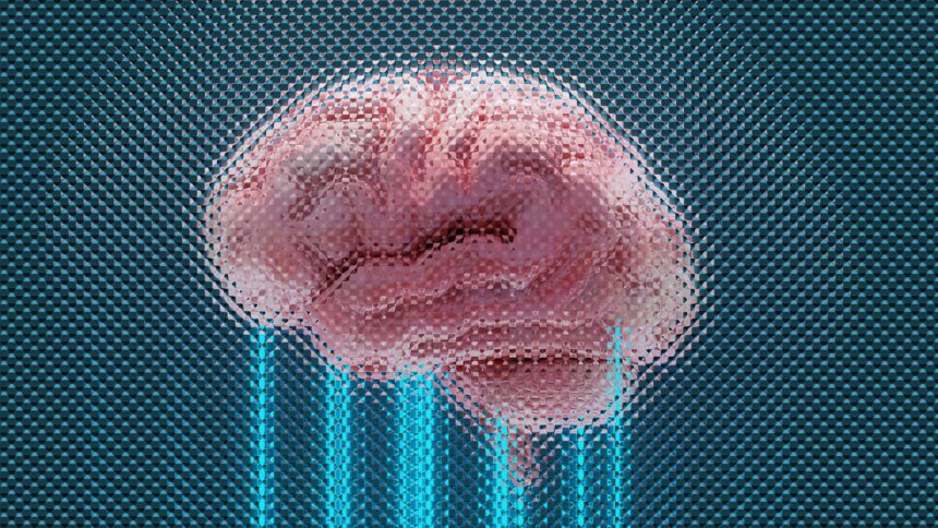 Finding Purpose: The Key to Brain Health