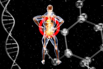The Impact of Thyroid Hormones on Aging