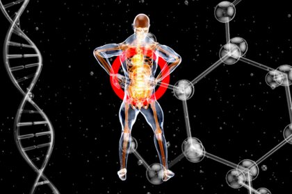 The Impact of Thyroid Hormones on Aging
