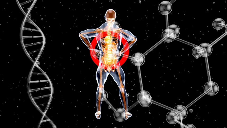 The Impact of Thyroid Hormones on Aging
