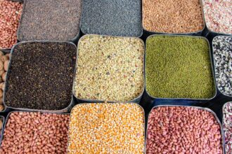 Legumes: The Key to Longevity