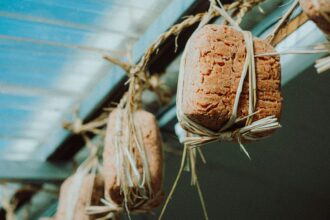 The Power of Fermented Foods for Gut Health and Aging