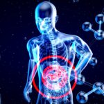 Exploring Inflammation Biomarkers in Aging