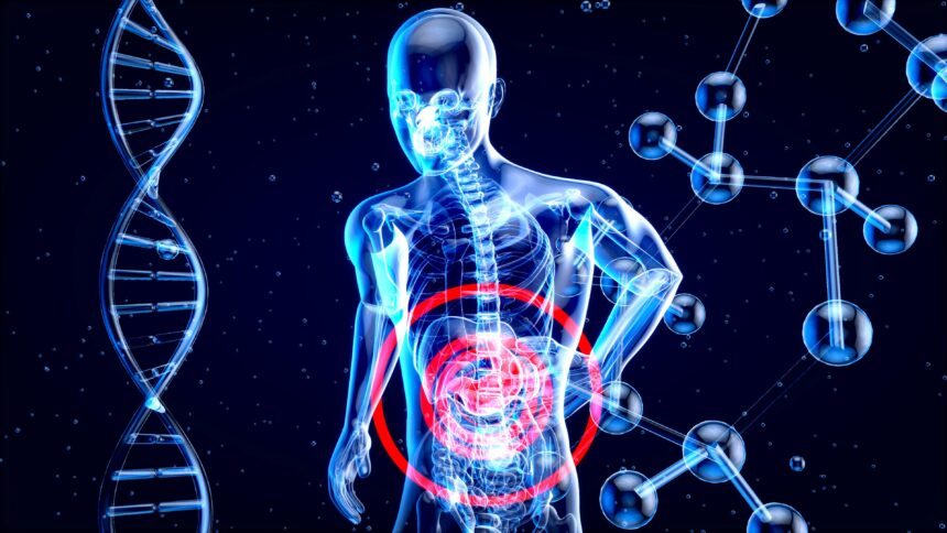 Exploring Inflammation Biomarkers in Aging