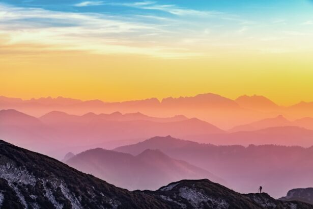 Unlocking the Secrets of Longevity: The FOXO3 Gene
