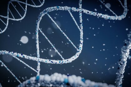 Unlocking the Anti-Aging Benefits of Bioidentical Hormones