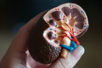 Maintaining Kidney Health as You Age