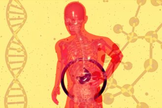 Maintaining Gut Health for Disease Prevention