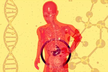 Maintaining Gut Health for Disease Prevention
