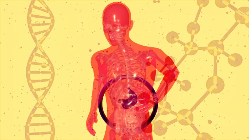 Maintaining Gut Health for Disease Prevention