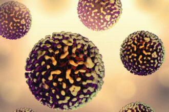 The Impact of Aging on the Immune System: Understanding Immunosenescence