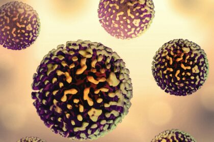 The Impact of Aging on the Immune System: Understanding Immunosenescence