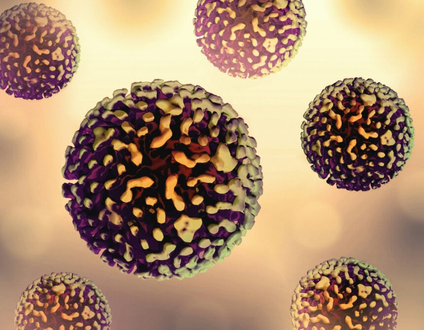 The Impact of Aging on the Immune System: Understanding Immunosenescence