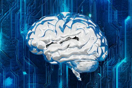 Therapy for Cognitive Longevity: A Path to Mental Wellness