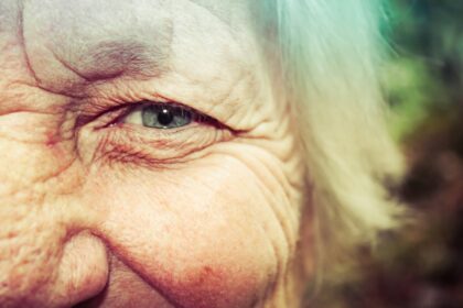 The Aging Gut-Brain Connection