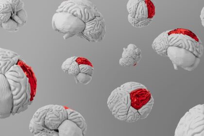 Digital Overload and Cognitive Aging: Finding Balance