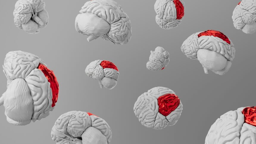 Digital Overload and Cognitive Aging: Finding Balance
