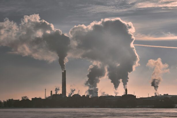 The Impact of Air Quality on Lifespan