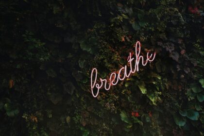 Breathwork: The Key to Optimal Brain Health
