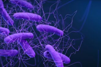 The Gut Microbiome’s Impact on Longevity
