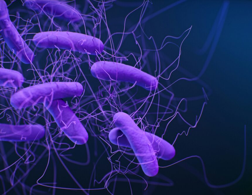 The Gut Microbiome’s Impact on Longevity