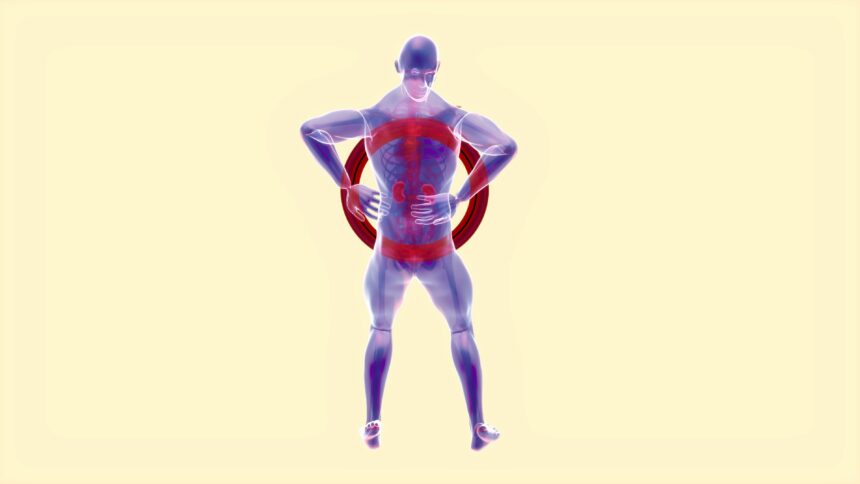 Hormones and Cardiovascular Health: Key Connections Explained